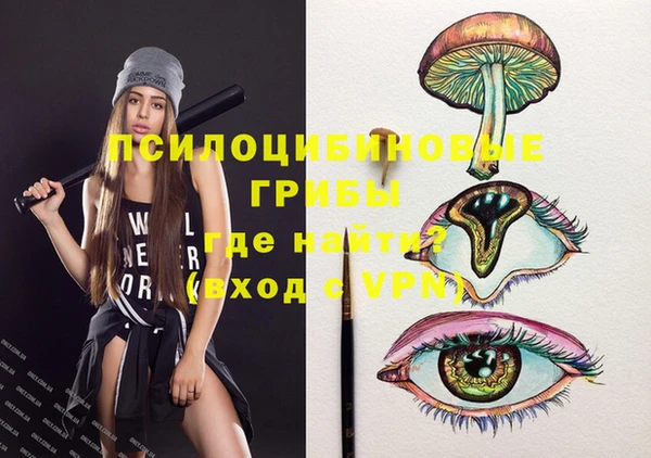 mdpv Алзамай