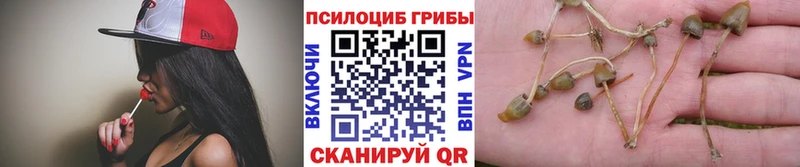 гидра ссылки  Североуральск  Псилоцибиновые грибы GOLDEN TEACHER 