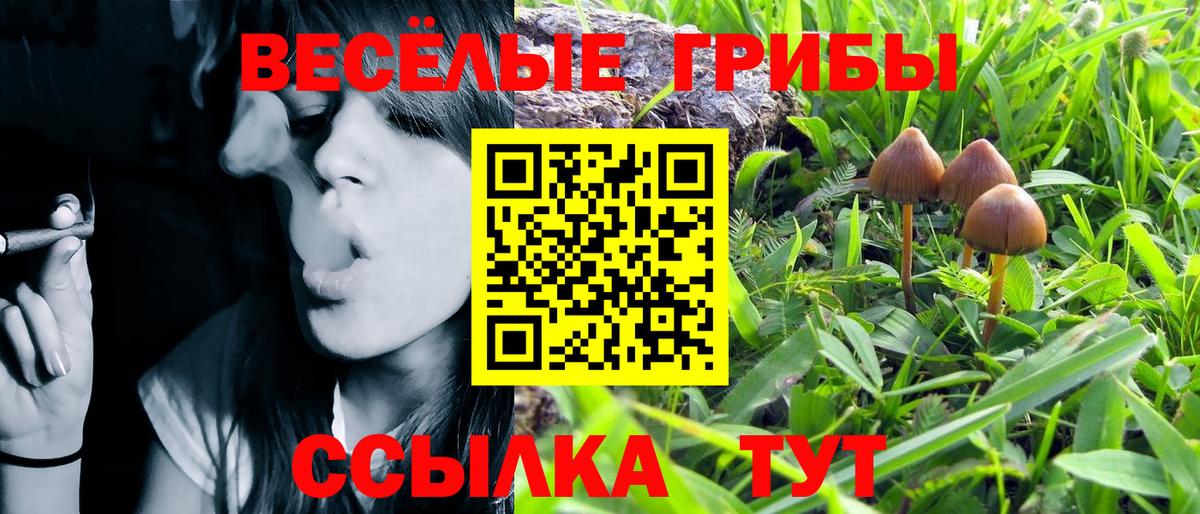 Галлюциногенные грибы Psilocybe  Вход с VPN  Североуральск 